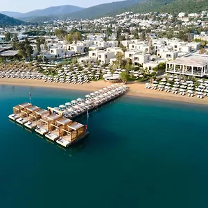 Voyage Complex Torba