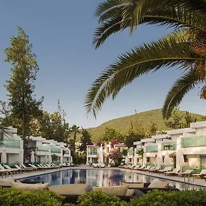 Voyage Complex Torba