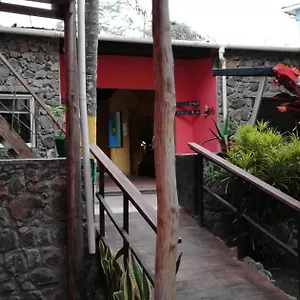 Galapagos Morning Glory , Пуэрто-Айора Эквадор